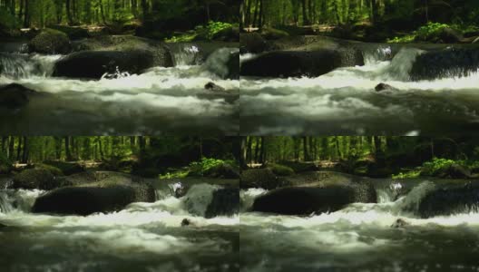 高清流在春天森林多莉拍摄(慢动作)高清在线视频素材下载