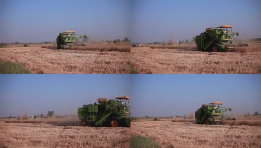 联合收割机在小麦收获期间高清在线视频素材下载