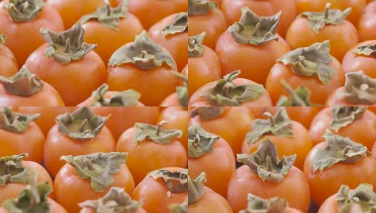 成熟的柿子果实高清在线视频素材下载