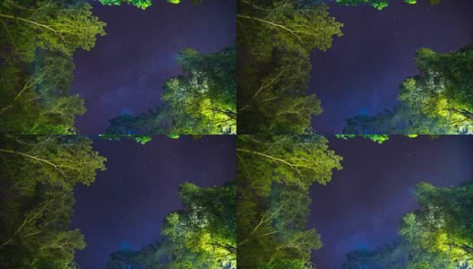 星夜森林高清在线视频素材下载