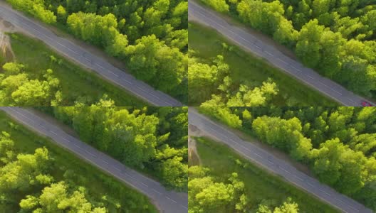 森林中道路的鸟瞰图高清在线视频素材下载