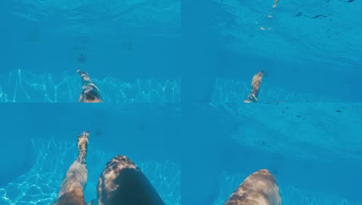 沉默Vs.NOICE水下拍摄的清澈的蓝色水和游泳者的影子高清在线视频素材下载