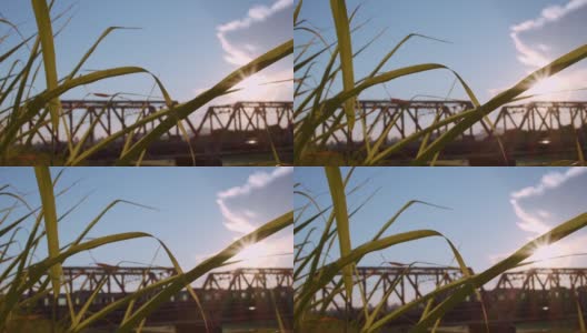 日落和火车在铁路桥上行驶的日常场景高清在线视频素材下载
