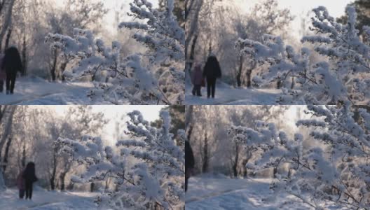 冬天的场景，令人惊叹的冰冻的自然，人们在雪中行走在美好的冬日。高清在线视频素材下载