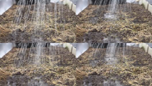 给温室里的土壤浇水高清在线视频素材下载