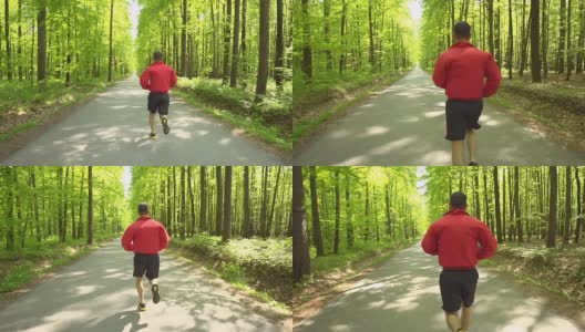 HD STEADY:慢跑穿过绿色森林高清在线视频素材下载