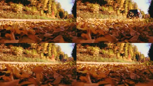 在加拿大的秋天里，在落叶中开车高清在线视频素材下载