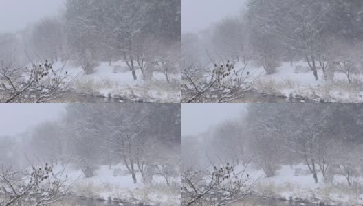 大量的粉状雪继续落在农村高清在线视频素材下载