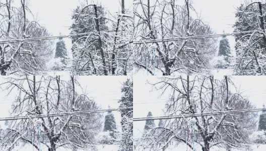 雪落在城市里高清在线视频素材下载