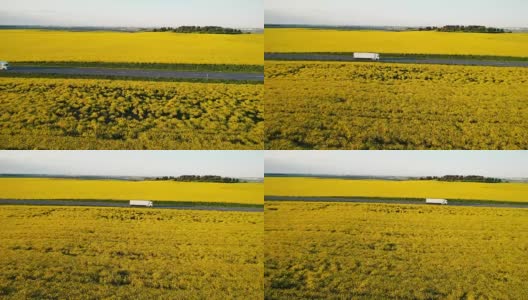 油菜籽田附近高速公路上卡车的鸟瞰图高清在线视频素材下载