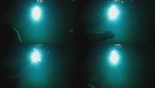 水下的光和鱼高清在线视频素材下载
