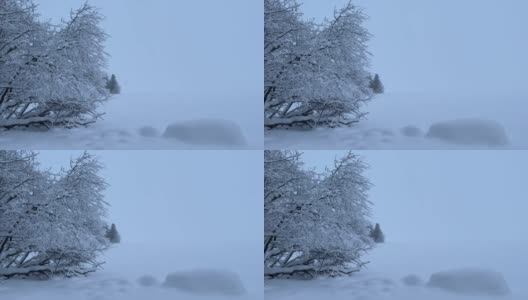 冬季降雪景观高清在线视频素材下载