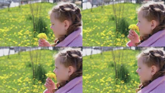 这孩子闻了闻花就打了个喷嚏。过敏到开花。小女孩嗅着黄色的蒲公英高清在线视频素材下载