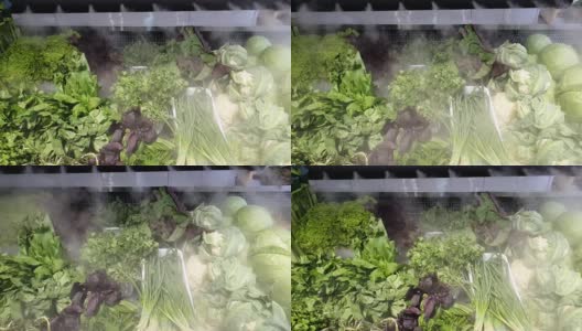 新鲜蔬菜在商店的冰箱里高清在线视频素材下载