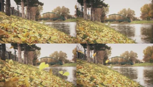 秋叶落在河畔高清在线视频素材下载