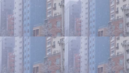 东京下起了雪高清在线视频素材下载