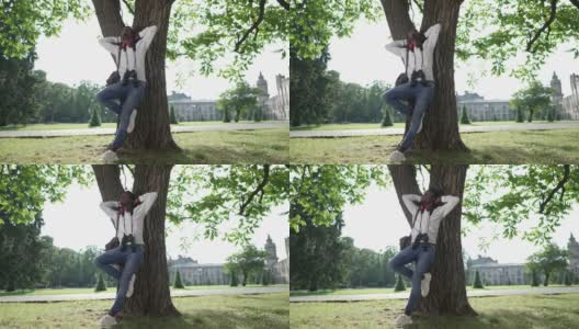 广角镜头放松，无忧无虑的非洲裔美国青年学生站在户外阳光下的树。大学校园里，自信快乐的男人倚在树干上欣赏大自然的美丽。高清在线视频素材下载