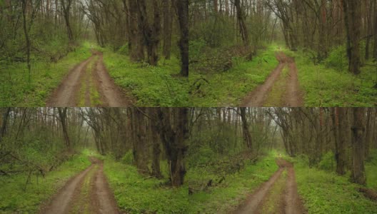 土路徒步在绿色的森林在春天-多利在FPV镜头高清在线视频素材下载
