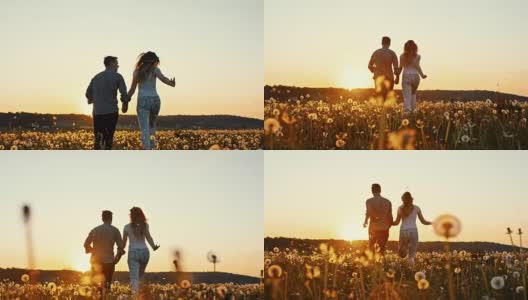 一对浪漫的情侣在蒲公英草地上奔跑高清在线视频素材下载