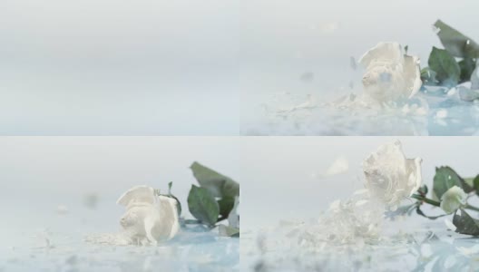 SLO MO冻白玫瑰碎成碎片高清在线视频素材下载