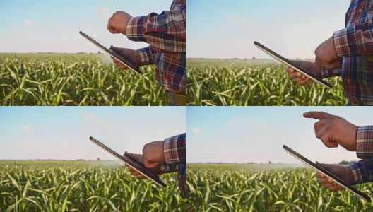 SLO MO Farmer用平板电脑设置农业洒水器高清在线视频素材下载