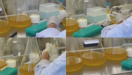 实验室瓶子摇晃液体微生物培养物高清在线视频素材下载