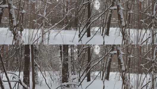 在森林里，汽车在积雪覆盖的路上行驶。高清在线视频素材下载