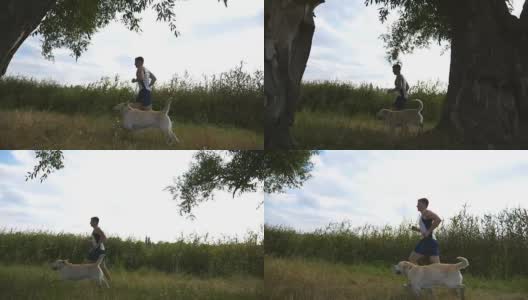 一个年轻人带着他的狗在户外跑步。拉布拉多或金毛猎犬与他的男性主人在大自然中慢跑。健康积极的生活方式。慢动作侧视图特写高清在线视频素材下载