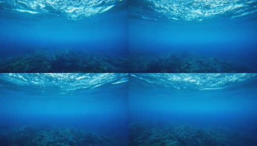 水下珊瑚礁无缝循环镜头高清在线视频素材下载