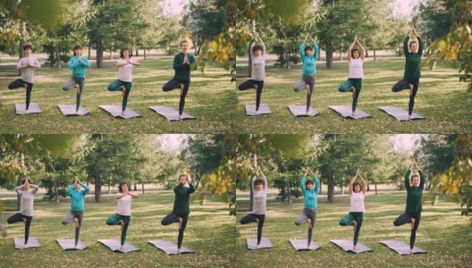 专注的女孩瑜伽修行者站在Vrksasana姿势树的位置，在秋天的公园瑜伽垫上保持平衡和呼吸。健康和青春理念。高清在线视频素材下载