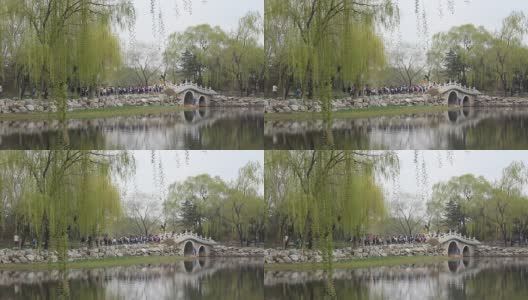 在中国花园里散步的人们高清在线视频素材下载
