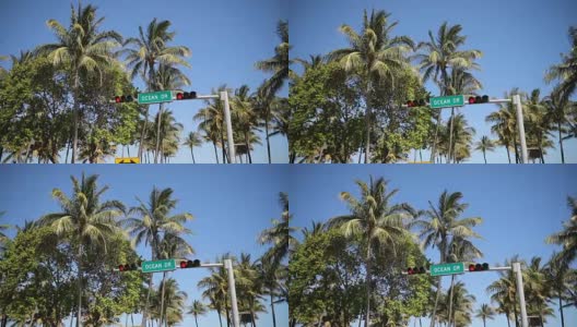 海洋大道的红绿灯和棕榈树高清在线视频素材下载