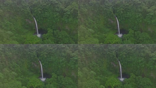 拉福尔图纳哥斯达黎加丛林瀑布天线高清在线视频素材下载