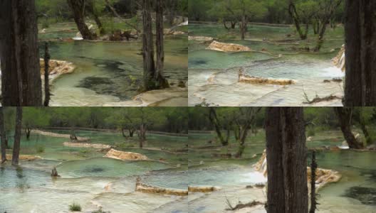 平移视图:五色池下的阴天黄龙谷景观，四川，中国高清在线视频素材下载