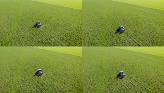 蓝色复古拖拉机喷洒小麦或大麦与液体化学品的鸟瞰图高清在线视频素材下载