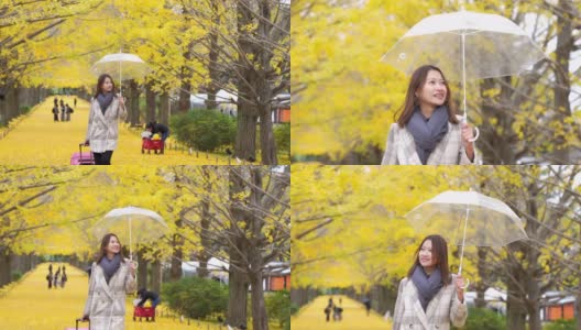 4K快乐的亚洲女性游客拿着粉红色的行李和雨伞漫步在美丽的黄色银杏叶飘落的秋天在日本昭和基嫩公园。日本旅游度假和季节变化的概念。高清在线视频素材下载