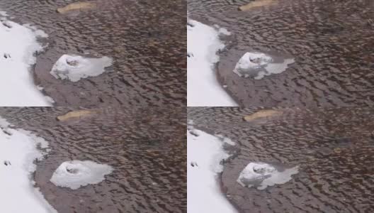 冬季风暴中的小冰块漂浮在河流上高清在线视频素材下载