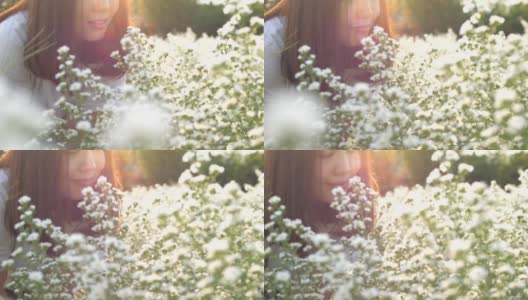女人的脸在阳光花园中绽放着新鲜的花朵高清在线视频素材下载