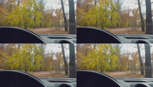 黄色的秋叶落在停在公园里的一辆汽车的前玻璃上。从车里看高清在线视频素材下载
