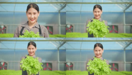 亚洲女农民正在现代水培蔬菜大棚农场展示她们的农产品高清在线视频素材下载