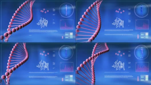 电脑屏幕上的动画DNA链。高清在线视频素材下载