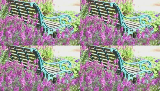 美丽的鲜花花园与古董长椅高清在线视频素材下载