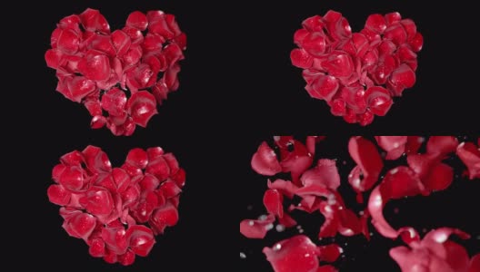 玫瑰花瓣在慢动作中形成跳动的心脏-俯视图高清在线视频素材下载
