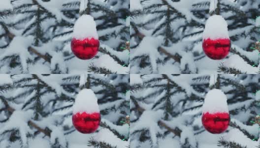 户外圣诞树的照片高清在线视频素材下载