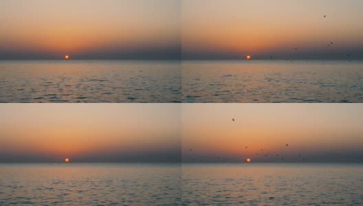 日落时，一群鸟在海面上飞翔。鸟类和日落。鸟儿飞过黄昏的海洋。高清在线视频素材下载