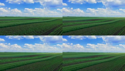 无人机在农业景观中的绿色作物上上升-无人机的观点高清在线视频素材下载