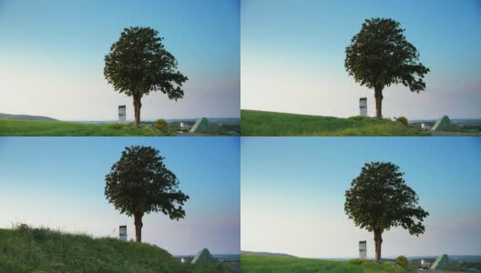 鹤落:孤独的树高清在线视频素材下载