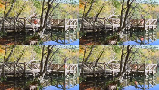 秋天，美丽的芭蕾舞演员在湖边的木码头上跳舞高清在线视频素材下载