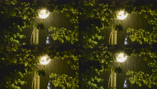 路灯在下雨时照亮树叶高清在线视频素材下载
