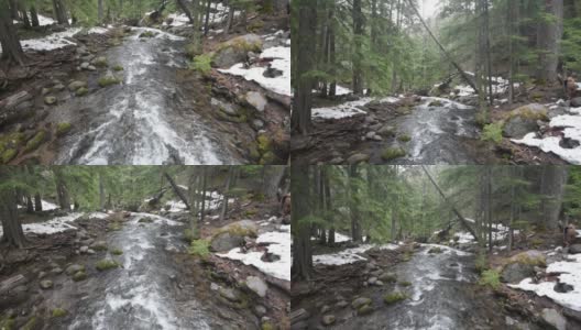 美国俄勒冈州塔玛纳瓦斯小道森林河冬季积雪高清在线视频素材下载